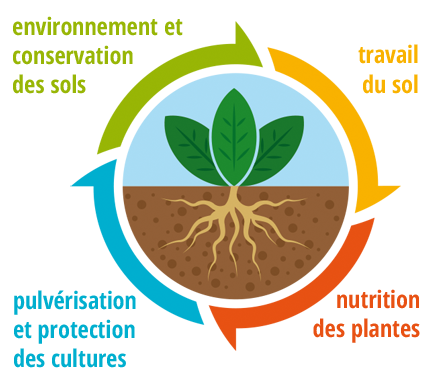 Phytosol